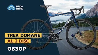 Бюджетный шоссейный велосипед TREK Domane AL 2 (2022)