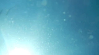 [10 Hours] Sun Shining Blue Underwater #1 - Video & Soundscape [1080HD] SlowTV