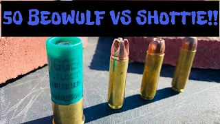 50 Beowulf vs Shotgun: How Many Pavers?