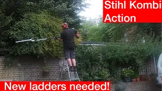 Trimming an overgrown shrub. Stihl Km 94 RC-E Kombi tool, and long reach hedge trimmer attachment.