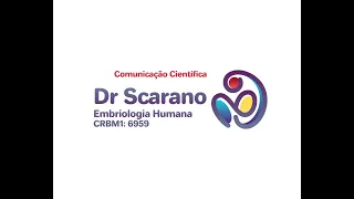 Desenvolvimento do Sistema Cardiovascular: O Coração