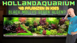 Wir sind sprachlos! Unfassbares Hollandaquarium mit 48 verschiedenen Aquarienpflanzen in Kiesboden!