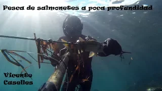 Pesca submarina unos cuantos tiros a salmonetes a poca profundidad