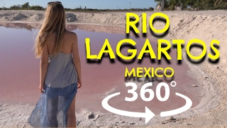 360º Rio Lagartos, Mexico ⎸ 360 Honeymoon