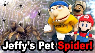 SML Parody: Jeffy's Pet Spider!