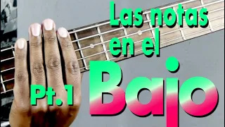 Bass Notes in Frets 1 to 5 - Learn Easy Music with Danny Cabezas