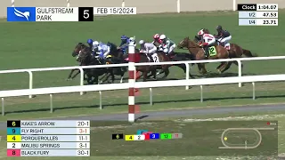 Gulfstream Park February 15, 2024 Race 5