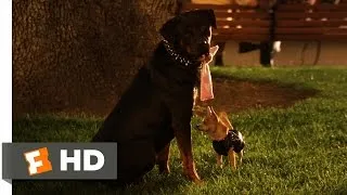 Legally Blonde 2 (8/11) Movie CLIP - Gay Dogs (2003) HD