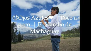 😂Ojos Azules❤ | Poco a poco  | El Mambo de Machaguay