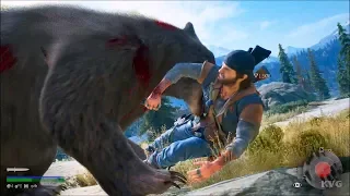 Days Gone - Hunting Bears - Open World Free Roam Gameplay (PS4 HD) [1080p60FPS]