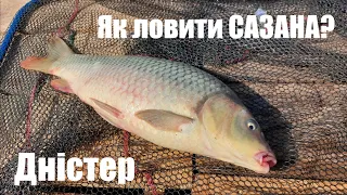 Як ловити САЗАНА на річці? Оснащення, насадки, пошук. Риболовля в непогоду з ночівлею. Дністер Маяки