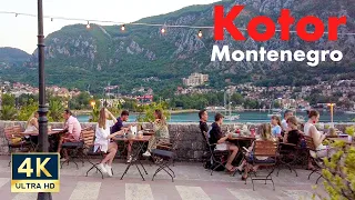 Kotor Montenegro 🇲🇪 4K Old Town Evening Walking Tour 2022