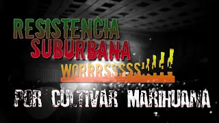 Por Cultivar Marihuana - Resistencia Suburbana (Worrrrssss!!!!)