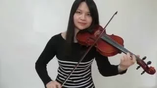 Michael Jackson - They don't care about us(Violin Cover)