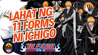 Lahat ng 11 Forms ni Ichigo | Bleach Review