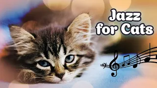 ♬ Relaxing Jazz Music for Cats ♬ Jazz for Cats 20 hours