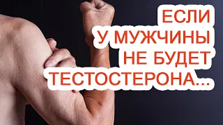 Если у мужчины не будет тестостерона / Доктор Черепанов