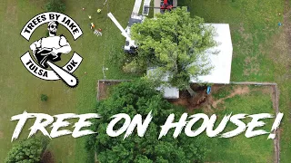 Emergency Tree Removal: MASSIVE Oak Fell on House!