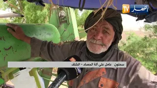 الشلف: سحنون..سبعيني قضى عمره في العمل على آلة الحصاد