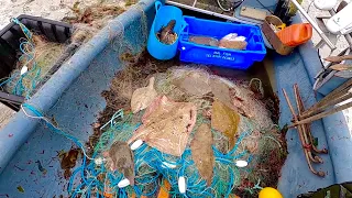 Big Haul Commercial Sole Netting - Electric Ray , Plaice , Big Sole Catch & Cook