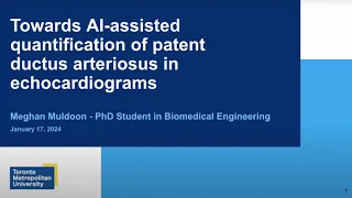 Towards AI-Assisted Quantification of Patent Ductus Arteriosus in Echocardiograms