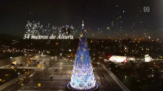 A maior Árvore de Natal de BH - BH Shopping