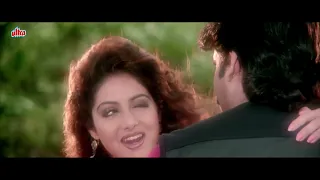 Jaanam Meri Jaanam   Sridevi   Anil Kapoor   Nagarjuna   Mr  Bechara   Full 4K Video Song