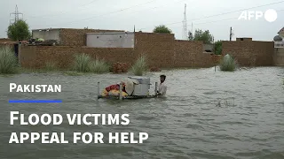 'Our children are starving': Pakistan flood victims appeal for help | AFP