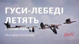 Михайло Стельмах — Гуси-лебеді летять (аудіокнига скорочено)