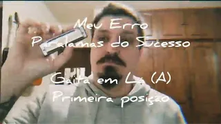 Meu Erro - Paralamas Do Sucesso (na Gaita com Tablatura!)