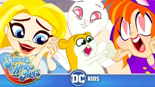 DC Super Hero Girls En Latino | ¡Supermascotas! 🐾  | DC Kids
