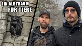 Das ist ein Albtraum für Tiere! - Talk mit Mark Benecke über Zoos | Robert Marc Lehmann