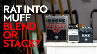 Proco Rat and Electro Harmonix Big Muff - blend or stack?