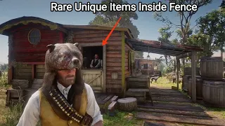 I Didn't Know There Are RARE Unique Items Inside Fence In Rhodes - RDR2