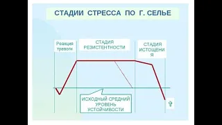 Активационная терапия. Стадии стресса по Гансу Селье. Эустресс и дистресс!