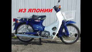 Покупаем Honda Super Cub из Японии!