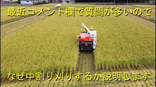 もう刈り遅れ寸前のミルキークイーン稲刈り開始・でも降りそうで降らない不思議なお天気・2023