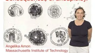 Angelika Amon (MIT and HHMI) Part 1: Review of the Study of Aneuploidy