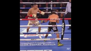 Teofimo Lopez right punch have high effect to opponent     #Thetakeover