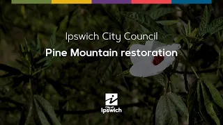 Pine Mountain restoration - Sustainability in the Suburbs