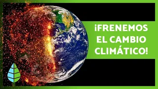 Cómo EVITAR el CAMBIO CLIMÁTICO 🌏⚠️ (20 Formas de COMBATIRLO)