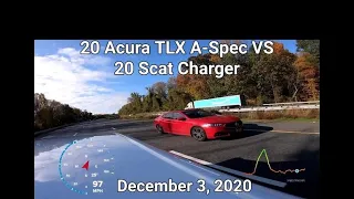 2020 Acura TLX A-Spec VS 20 Scat Charger #acura #scatpack #mopar #shorts #rollracing #streetracing