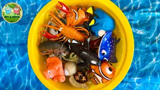 Sea animals. Learn sea animal names. Toddler learning video. Sea animal toys.