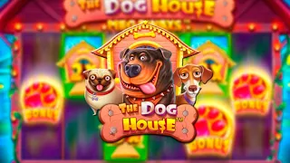 ДВА РАЗА ПОДРЯД СЛОВИЛ 4 ЛАПЫ В DOG HOUSE MEGAWAYS (РЕДКОСТЬ)🔥