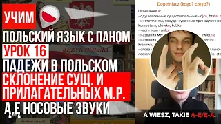 Склонение мужского рода сущ. и прилаг. 1-е скл, Ą, Ę носовые звуки. Урок 16 - Польский язык с нуля.