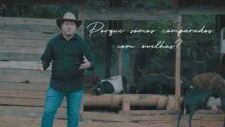 Pr. Luciano - Porque somos comparados com ovelhas?