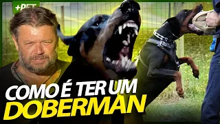 MEXI COM UM DONO DE DOBERMAN E QUASE FUI MORDIDO! | RICHARD RASMUSSEN