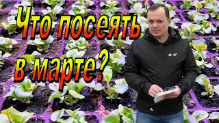 Что нужно посеять в марте? Минимальный набор.