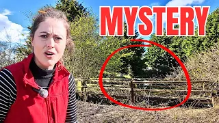 We discovered a lost bridge on the farm, but it's NOT WHAT WE THOUGHT!