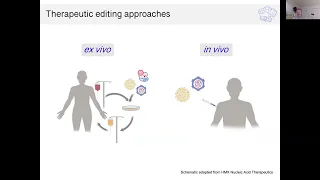 CRISPR: Possibilities & Limitations for Connective Tissue Conditions